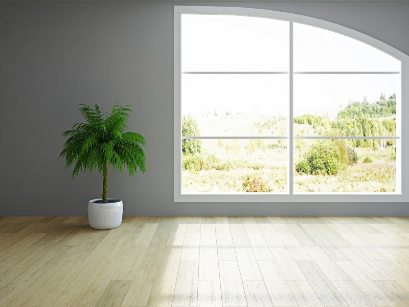 Improve the Appearance of your home by replacing the Windows