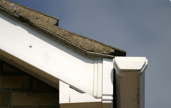 How Fascias and Soffits Can Protect Your Home